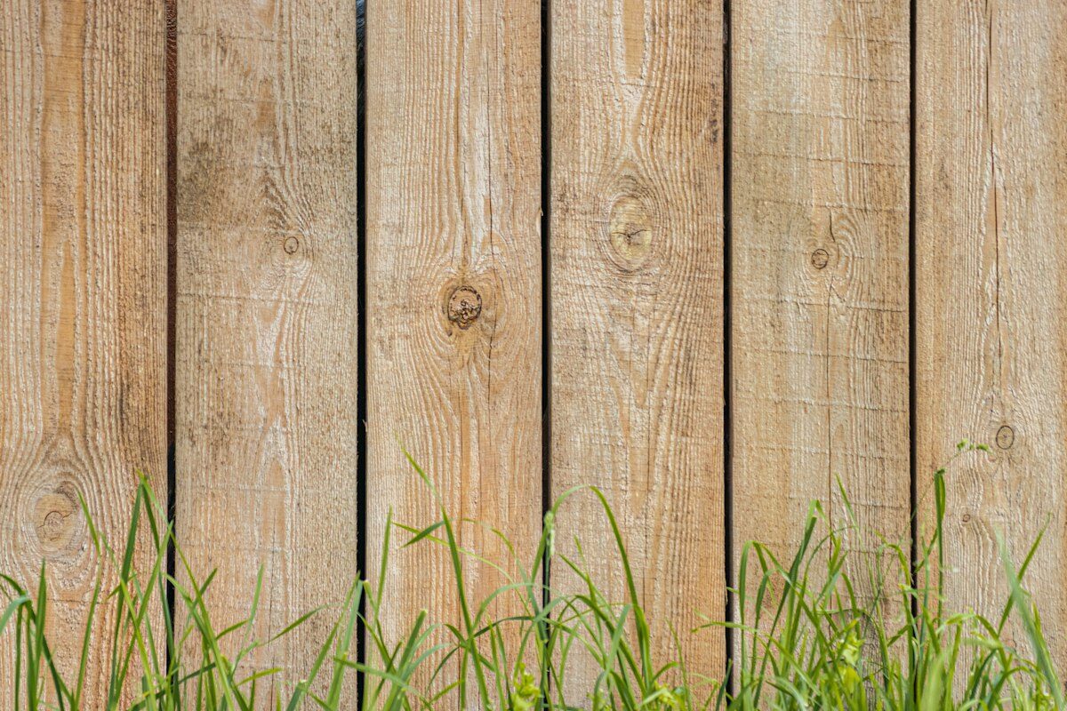 Clean natural-timber paling fence with grass at its base — a web-free boundary after spider proofing and fence care